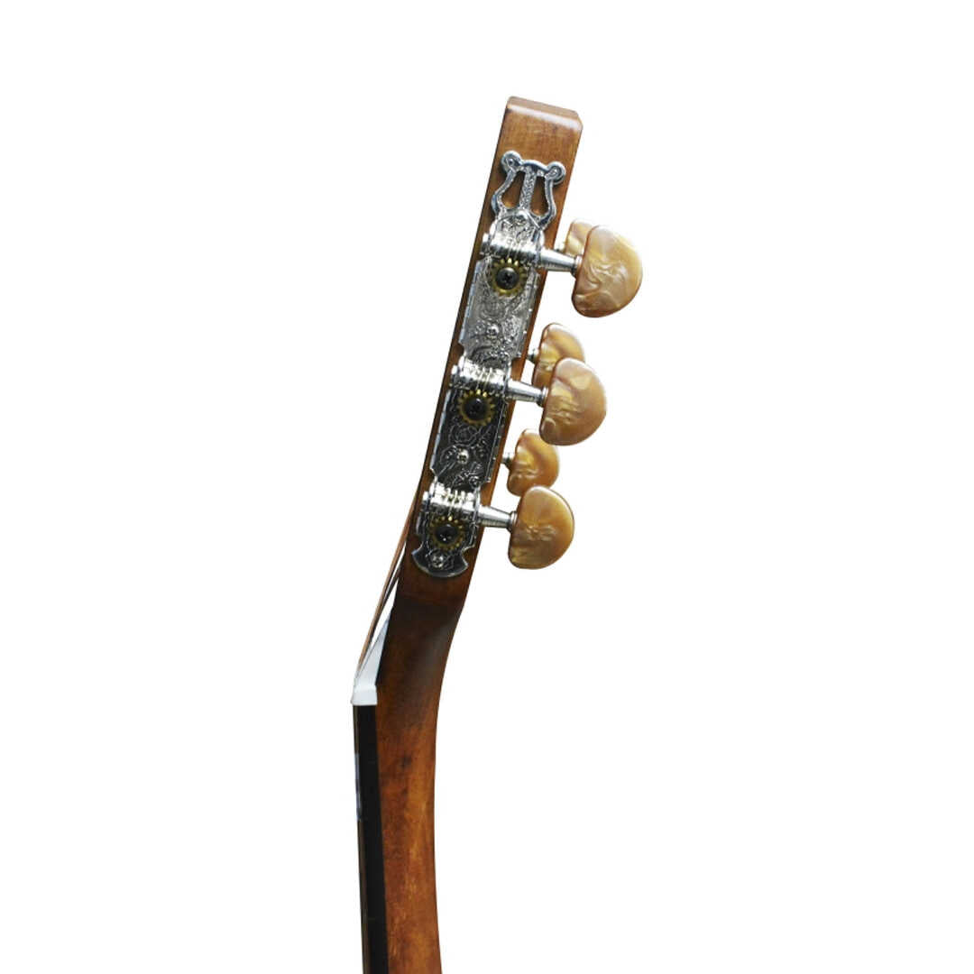 Cort AP550 Acoustic Guitar (Vintage Burst)